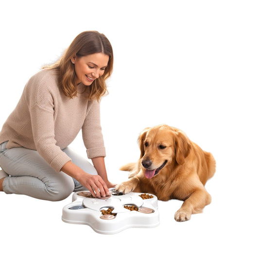 Votre chien mange trop vite ? Voici pourquoi il est temps d’agir (et comment)