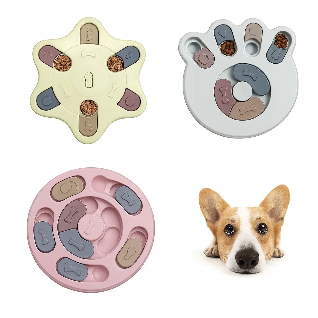 Bol interactif anti - glouton pour chien – Gamelle puzzle ⭐⭐⭐⭐⭐ - maboutiqueanimaux.fr
