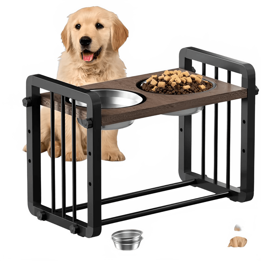 Gamelle Élevée 3 en 1 pour Chien – Confort, Santé et Élégance ,⭐⭐⭐⭐⭐ - maboutiqueanimaux.fr