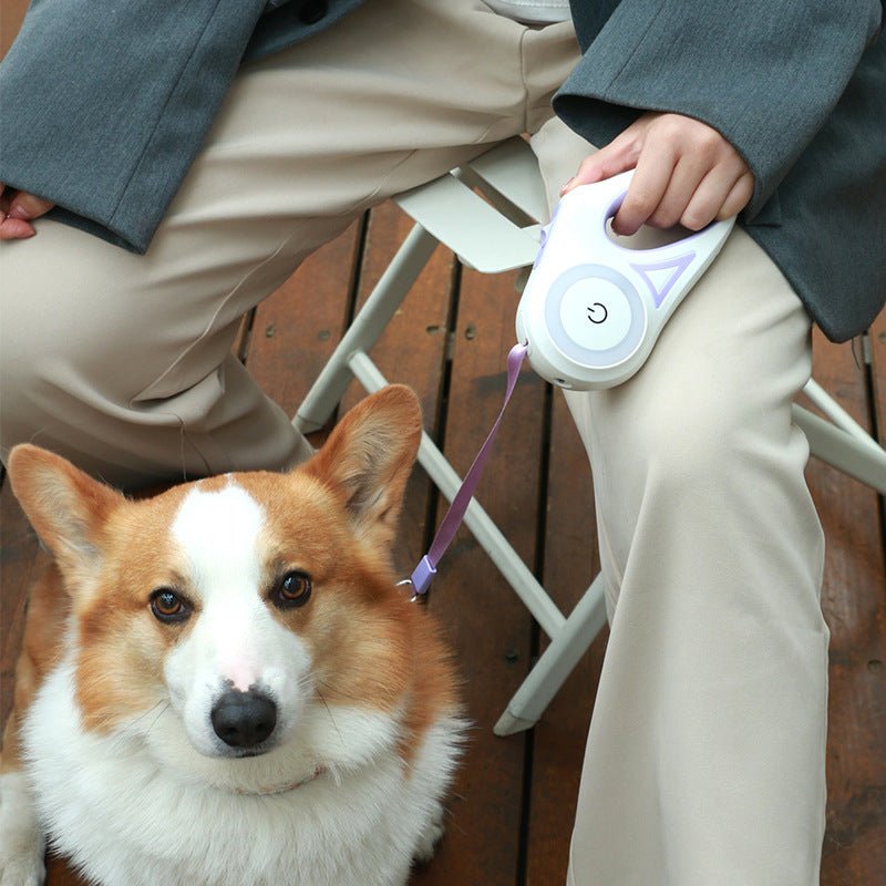 Laisse rétractable lumineuse LED pour chien ⭐⭐⭐⭐⭐ - maboutiqueanimaux.fr