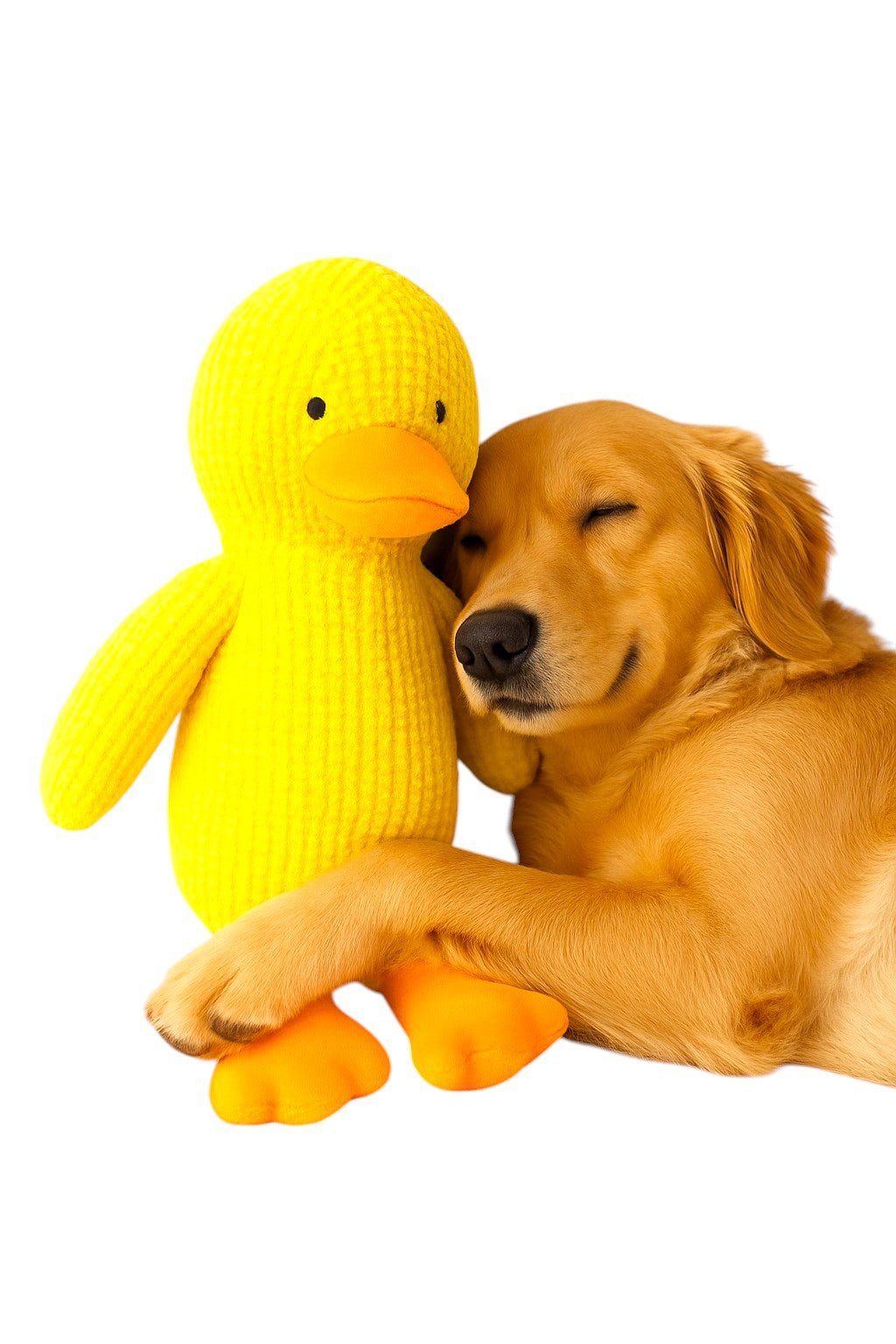 Peluche canard pour chien ⭐⭐⭐⭐⭐ - maboutiqueanimaux.fr