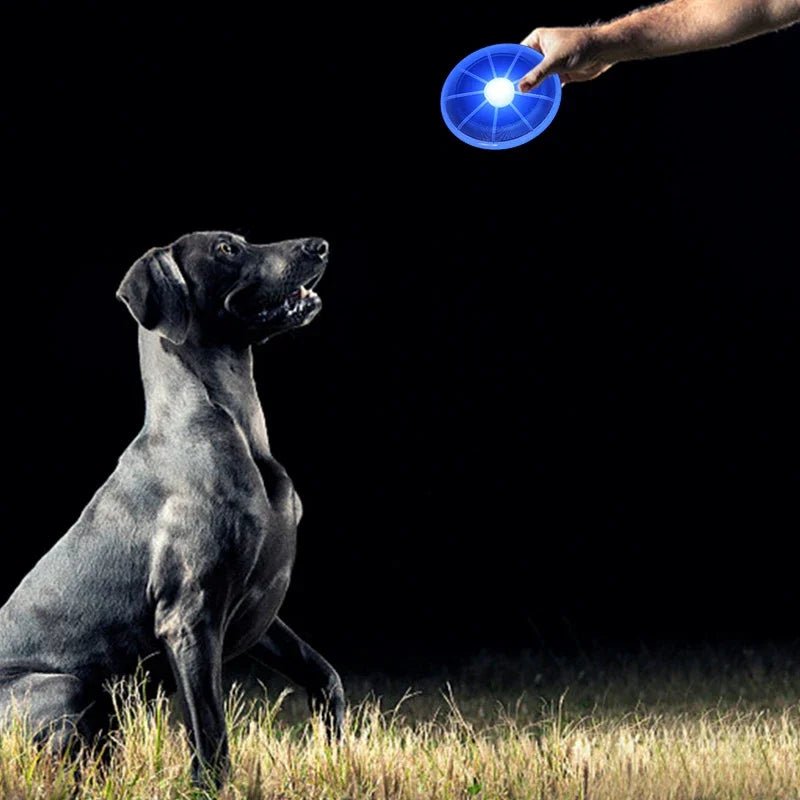 Frisbee Lumineux pour Chien – Jouez sans limites, même la nuit ⭐⭐⭐⭐⭐ - maboutiqueanimaux.fr