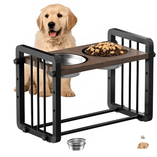 Gamelle Élevée 3 en 1 pour Chien – Confort, Santé et Élégance ,⭐⭐⭐⭐⭐ - maboutiqueanimaux.fr