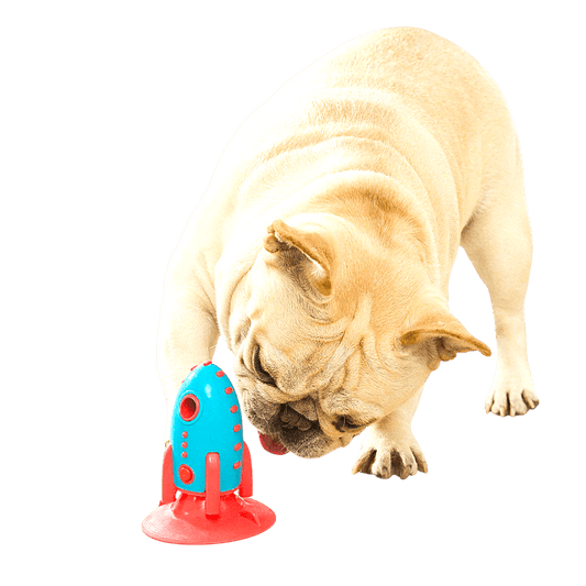 Jouet Rocket Dog pour chien ⭐⭐⭐⭐⭐ - maboutiqueanimaux.fr