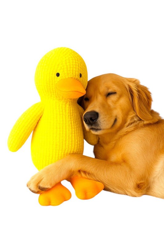 Peluche canard pour chien ⭐⭐⭐⭐⭐ - maboutiqueanimaux.fr